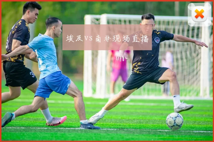 埃及vs南非现场直播