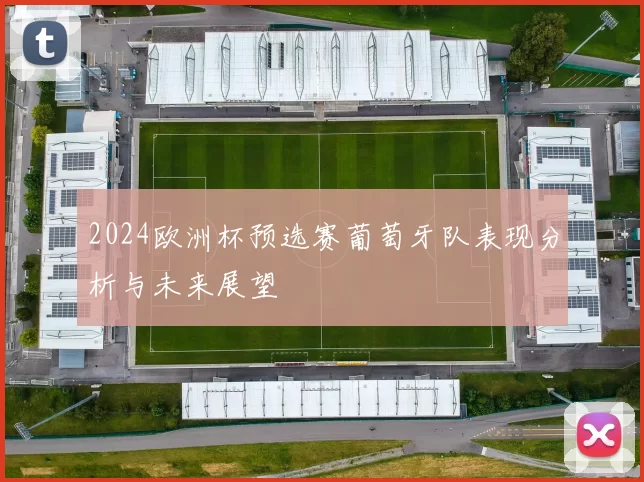 2024欧洲杯预选赛葡萄牙队表现分析与未来展望